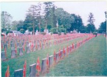 Confederate Memorial Day